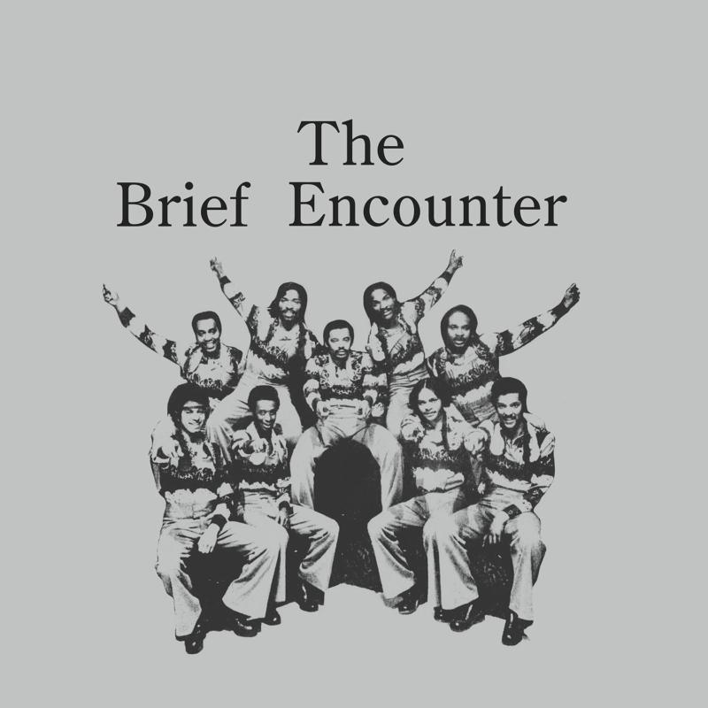 Picture of The Brief Encounter - Introducing The Brief Encounter (Smoky Mountain Vinyl Edition)