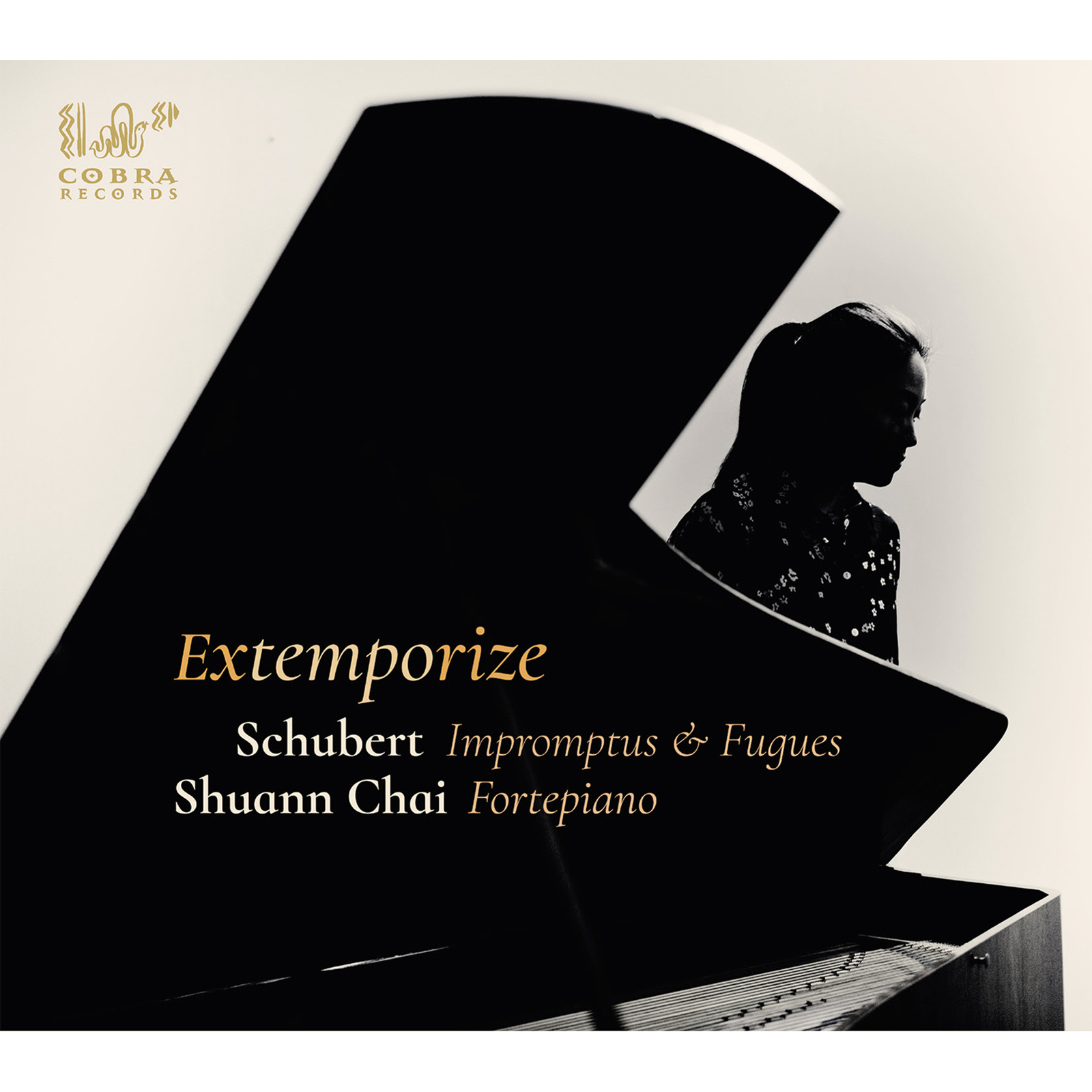 Picture of Shuann Chai - Extemporize