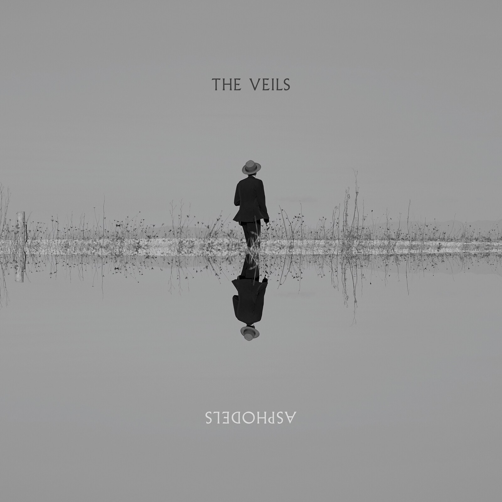 Picture of The Veils - Asphodels