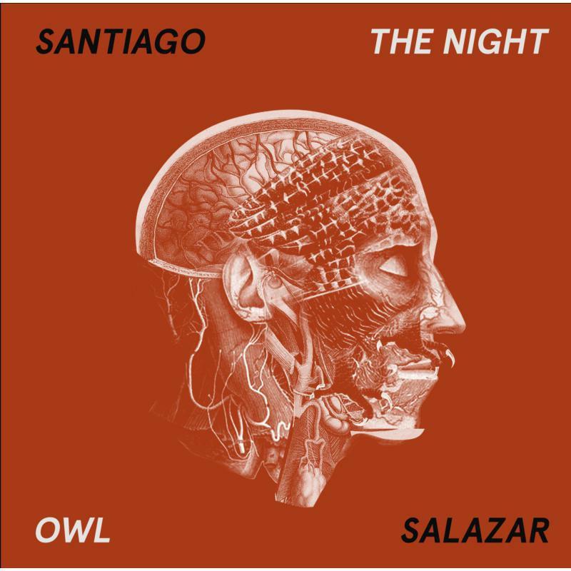 Picture of Santiago Salazar - The Night Owl
