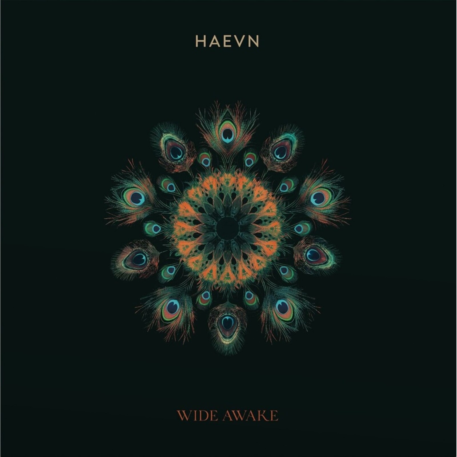 Picture of Haevn - Wide Awake