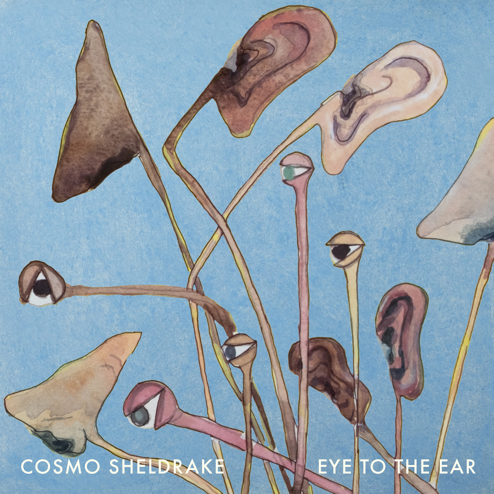 Picture of Cosmo Sheldrake - Eye To The Ear