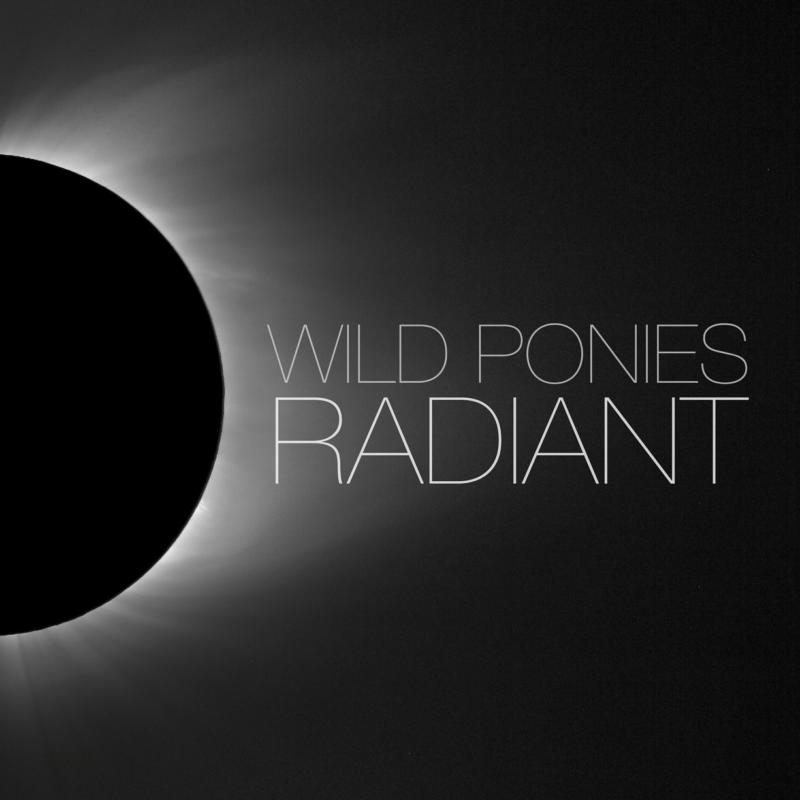 Picture of Wild Ponies - Radiant