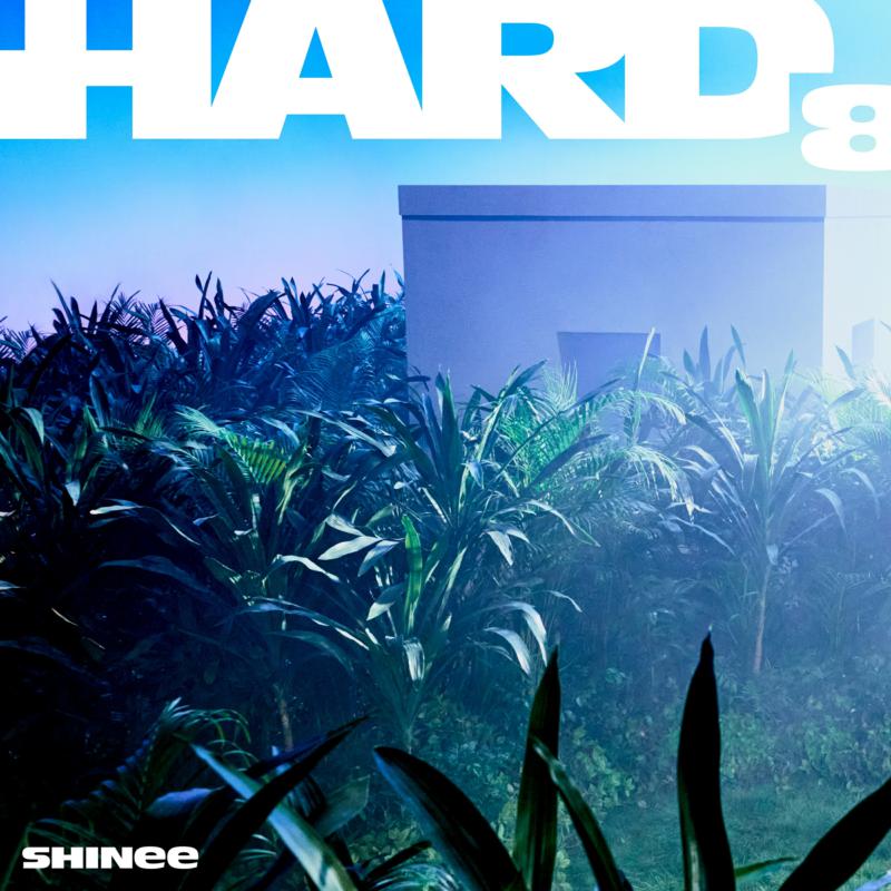 Picture of Shinee - Hard (Photobook Version)