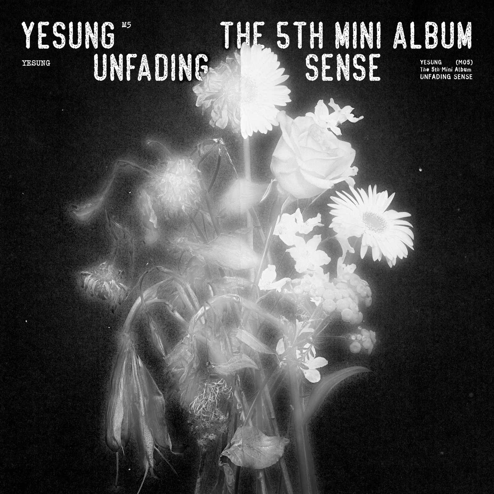Picture of Yesung - Unfading Sense (Special)