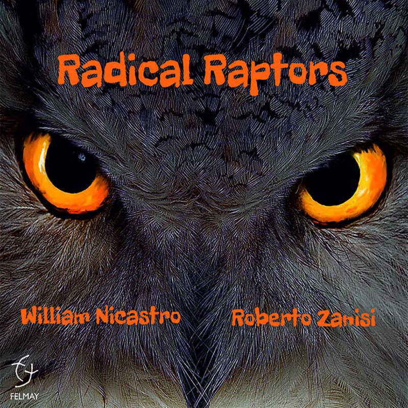 Picture of Radical Raptors - Radical Raptors