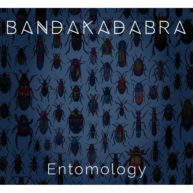 Picture of Bandakadabra - Entomology