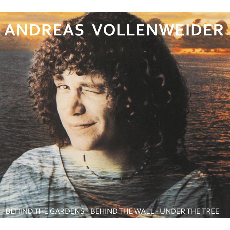 Picture of Andreas Vollenweider - Behind The Gardens - Behind The Wall - Under The Tree