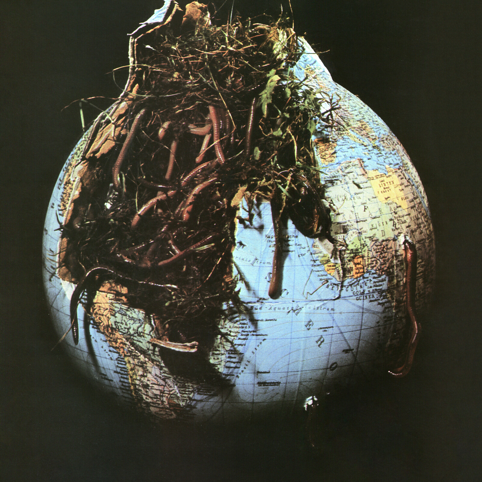 Picture of Drosselbart - Drosselbart