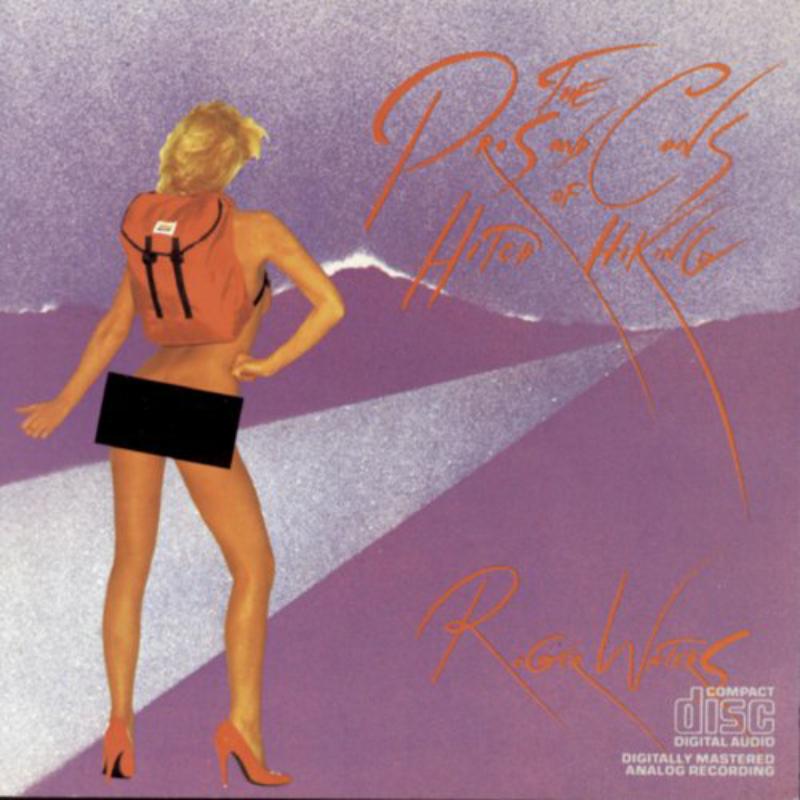 Picture of Roger Waters - Pros & Cons Of Hitchhiking