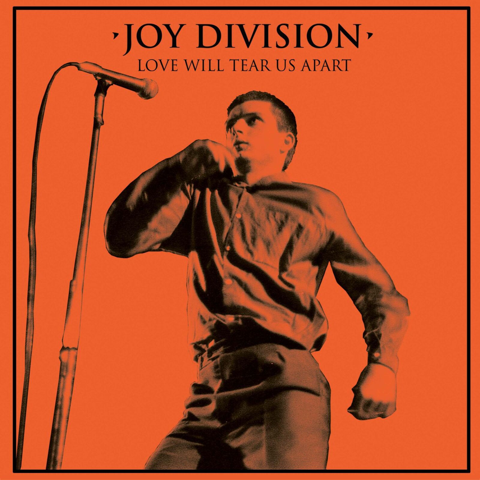Picture of Joy Division - Love Will Tear Us Apart