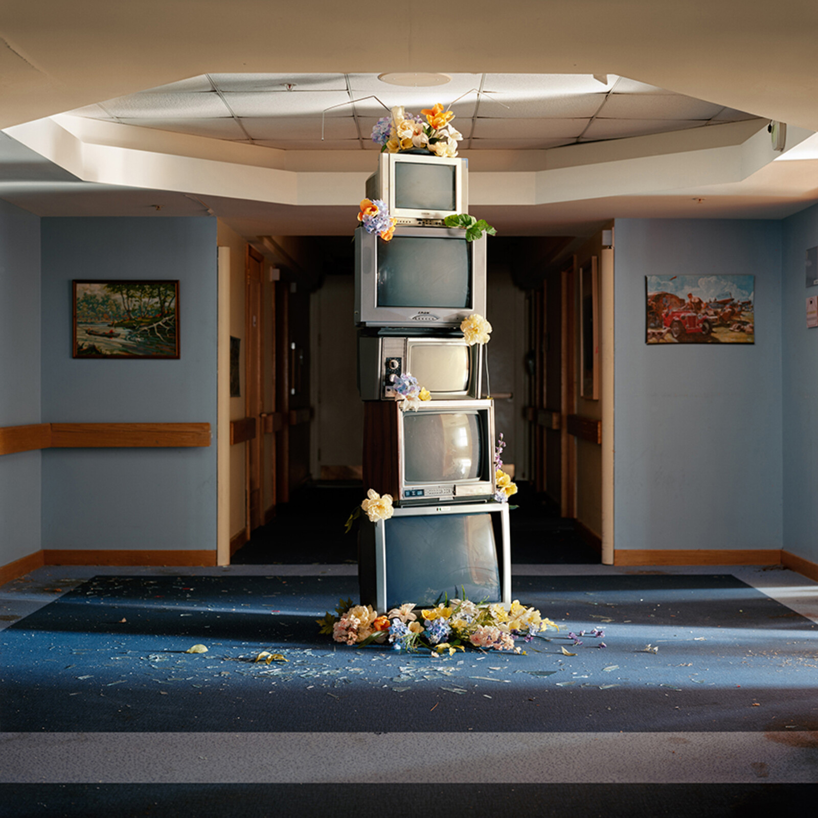 Picture of Denude - A Murmuration of Capitalist Bees