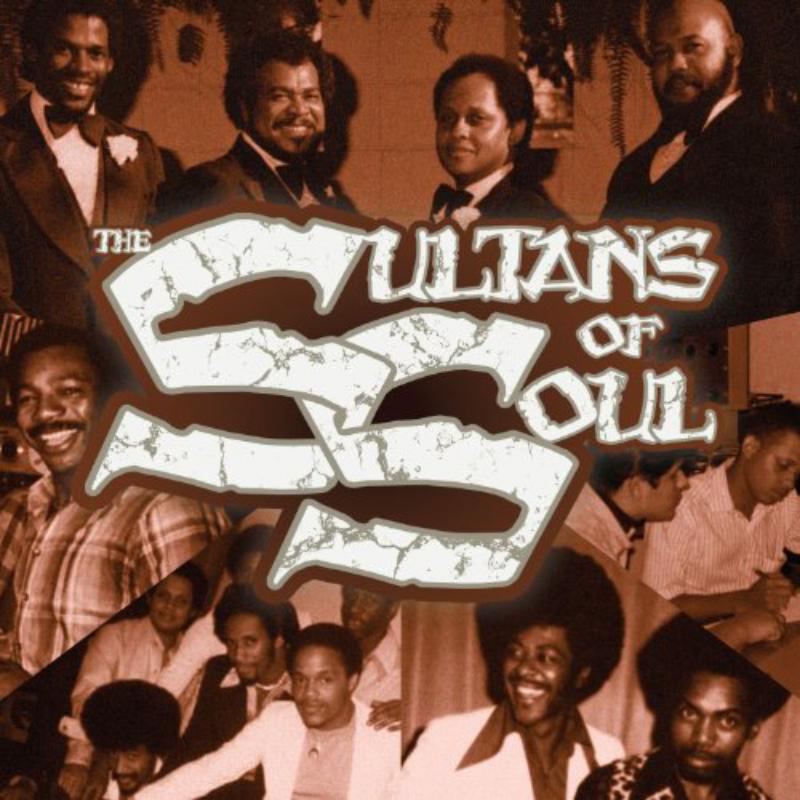 Picture of The Sultans Of Soul - Various