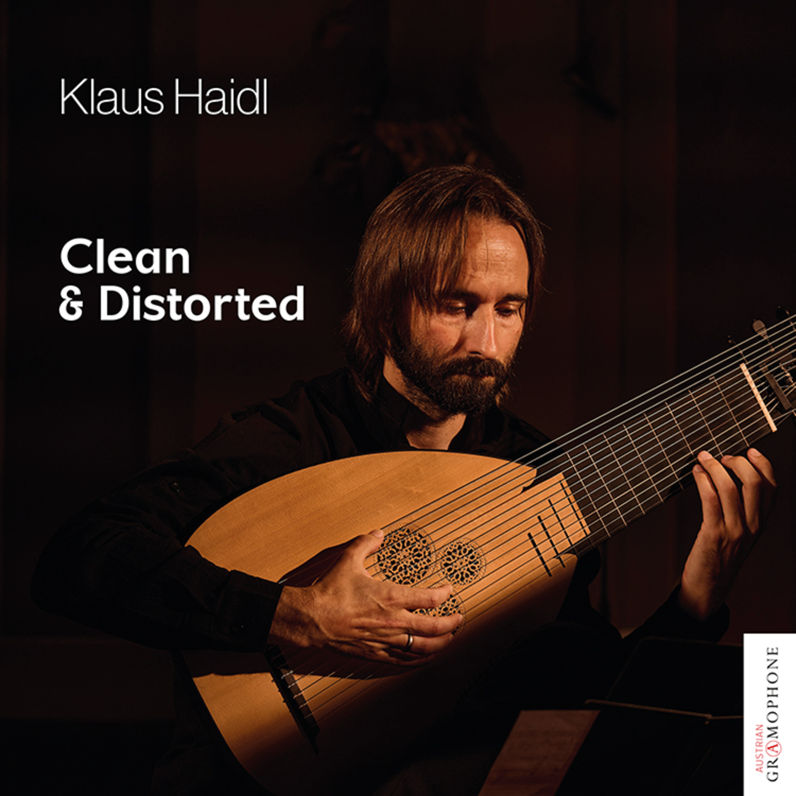Picture of Klaus Haidl - Clean And Distorted