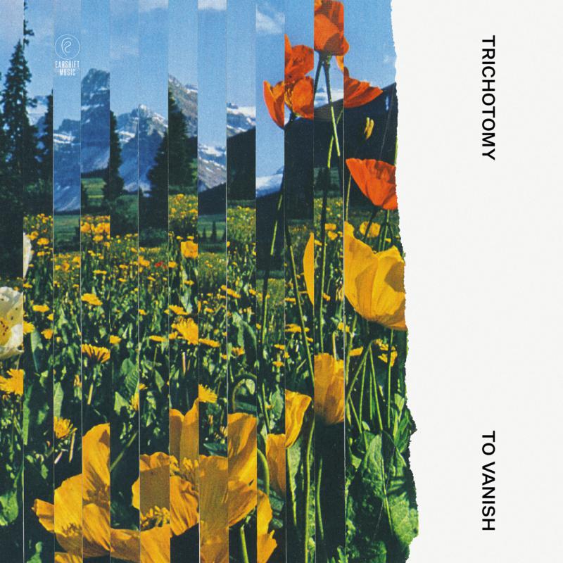 Picture of Trichotomy - To Vanish