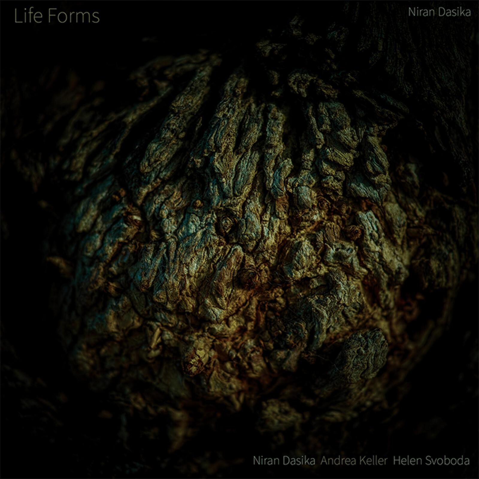 Picture of NIRAN DASIKA - LIFE FORMS