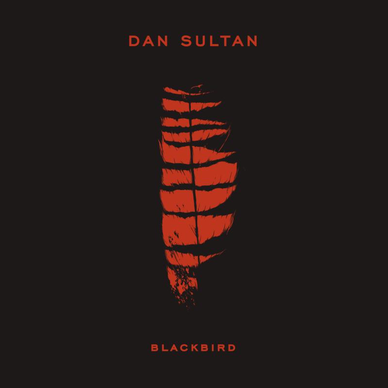 Picture of Dan Sultan - Blackbird