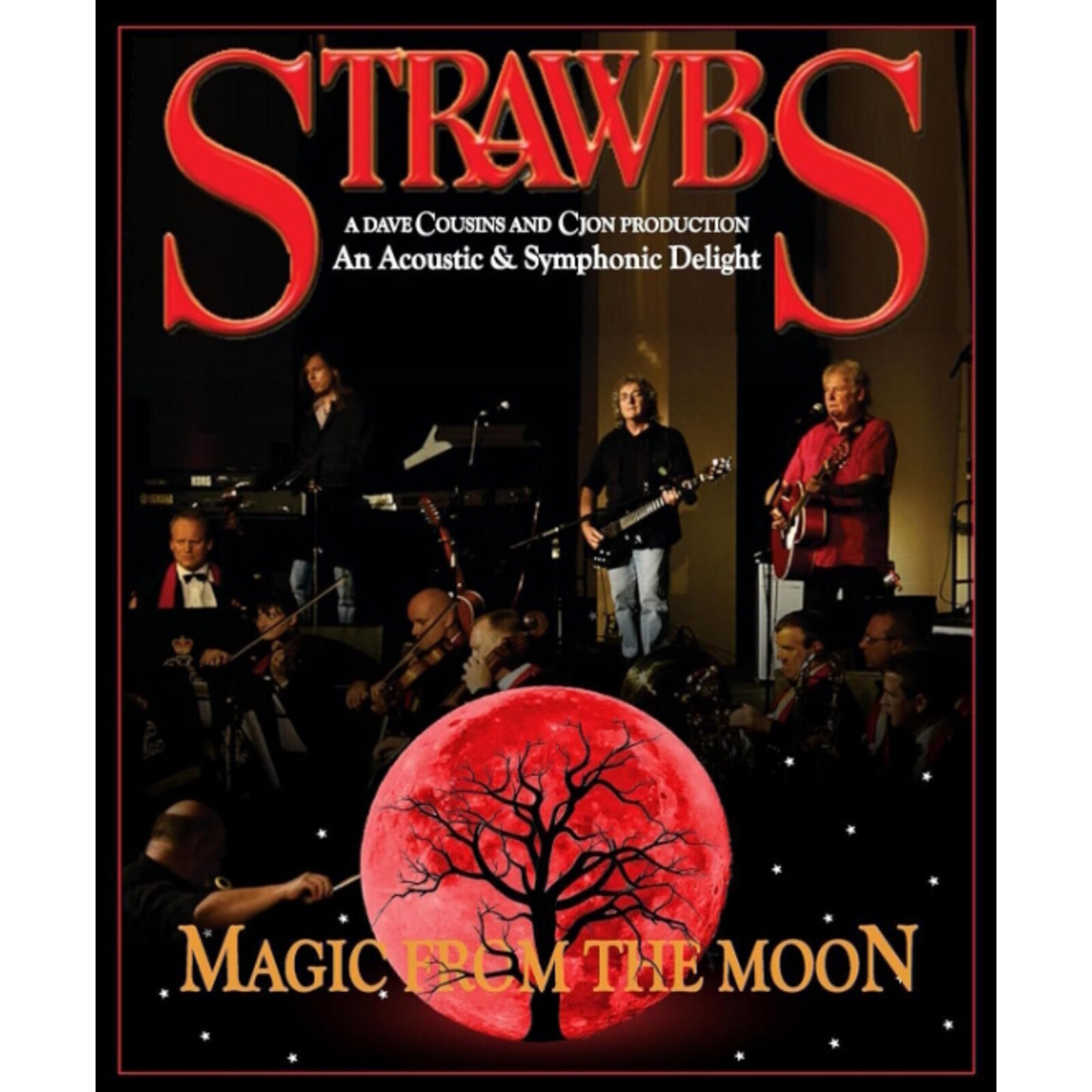 Picture of Strawbs - Magic From The Moon